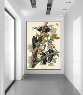 Pileated Woodpecker Canvas Art