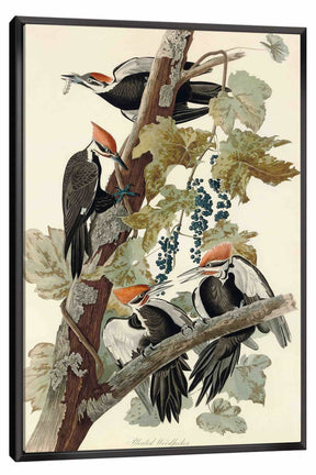 Pileated Woodpecker Canvas Art