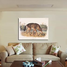 Polar Hare Canvas Art