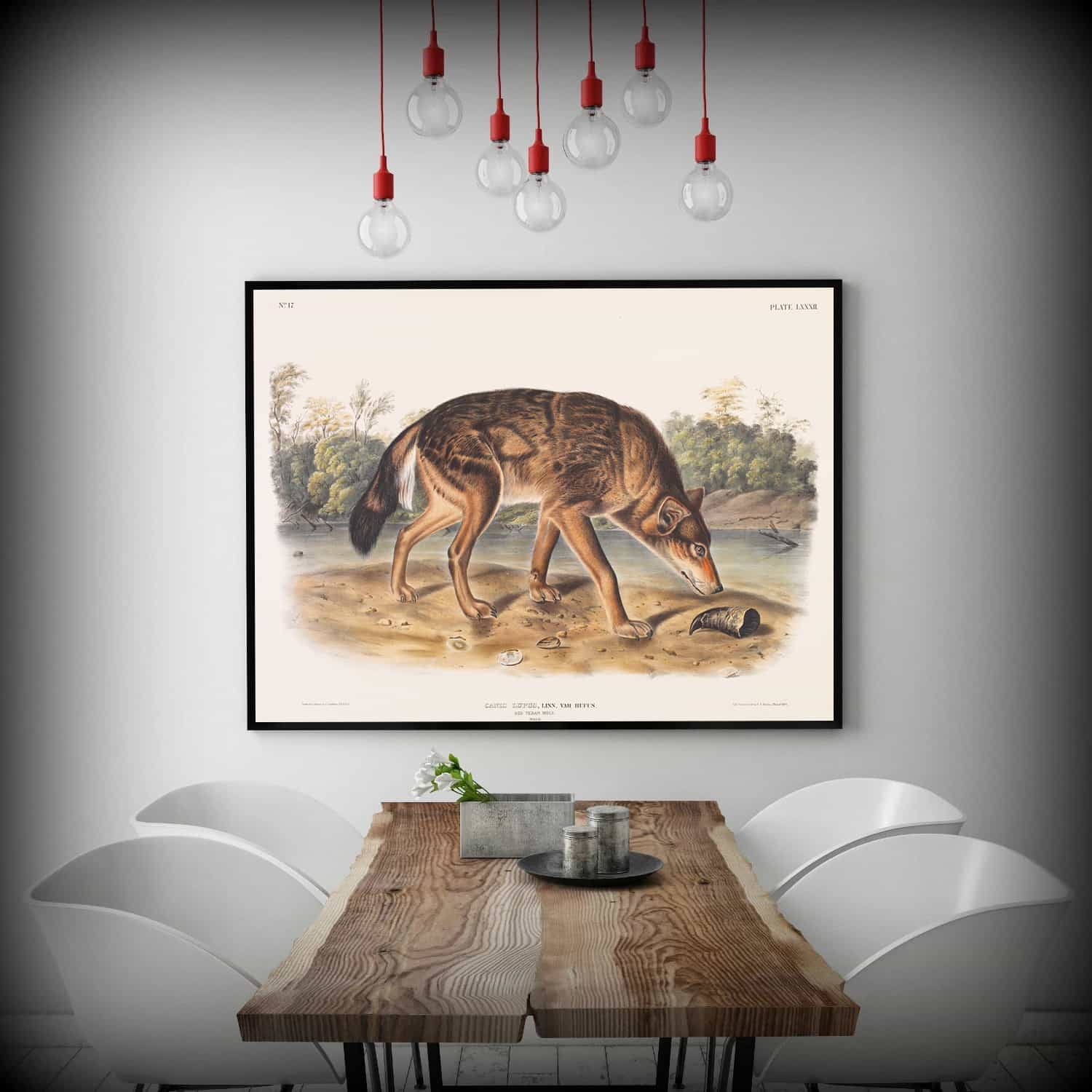 Polar Hare Canvas Art