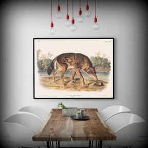 Polar Hare Canvas Art