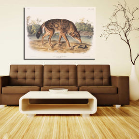 Polar Hare Canvas Art