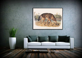 Polar Hare Canvas Art