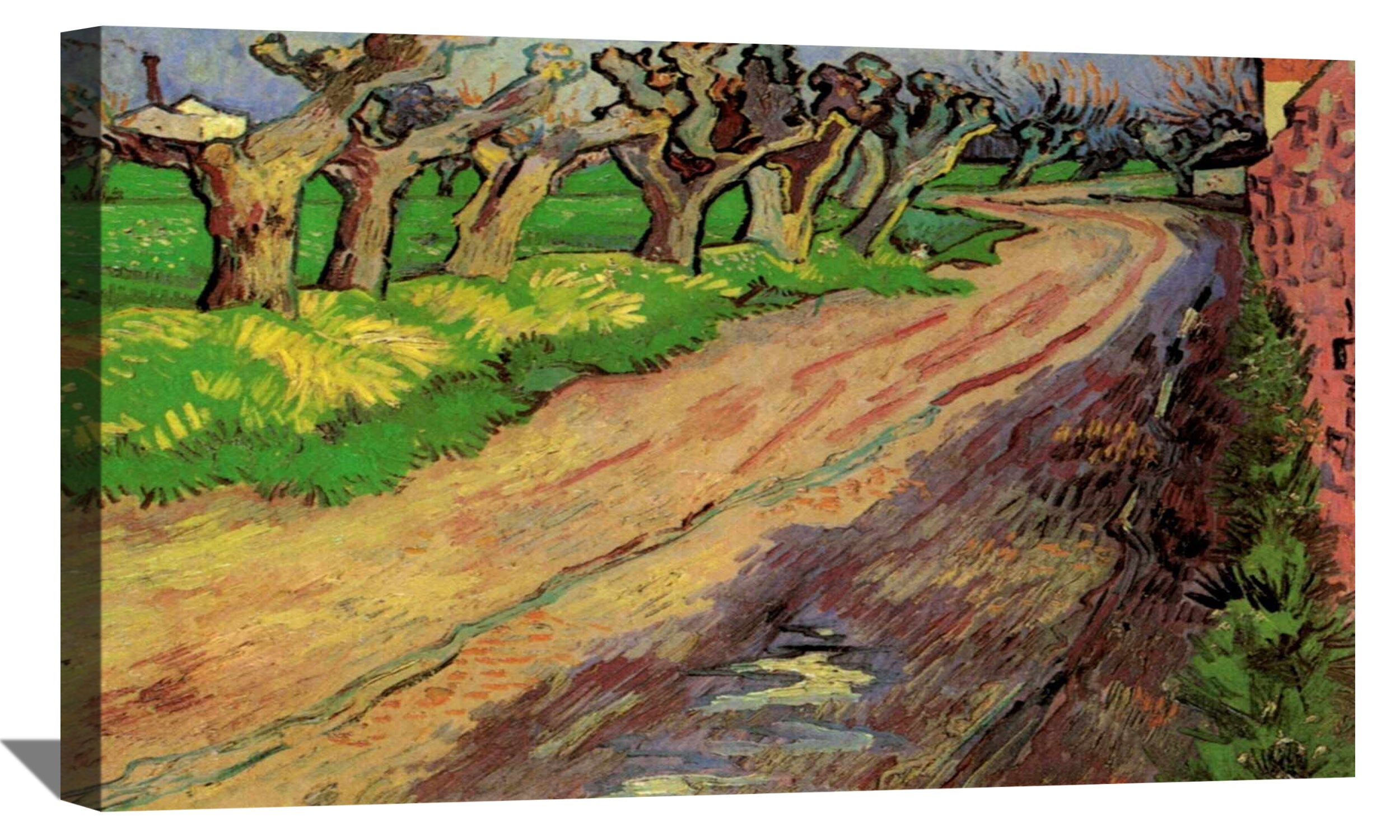 Pollard Willows Canvas Wall Art Pollard Willows Painting Van Gogh Art