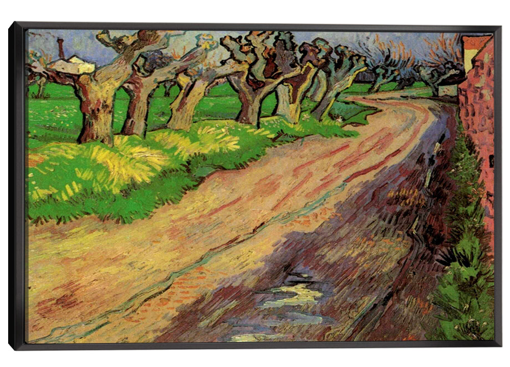 Pollard Willows Canvas Art