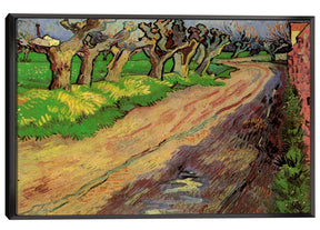 Pollard Willows Canvas Art