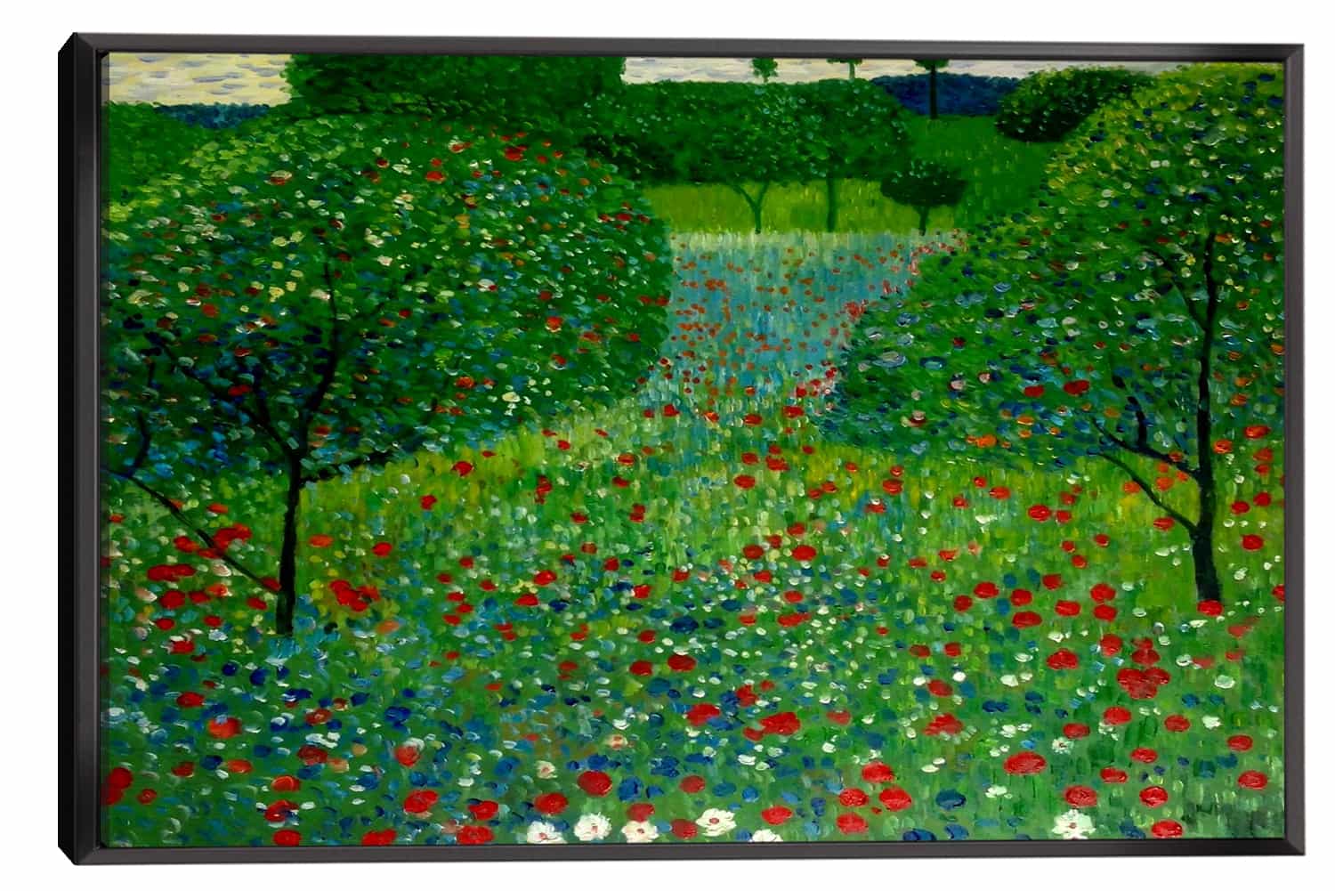 Poppy Field Canvas Art