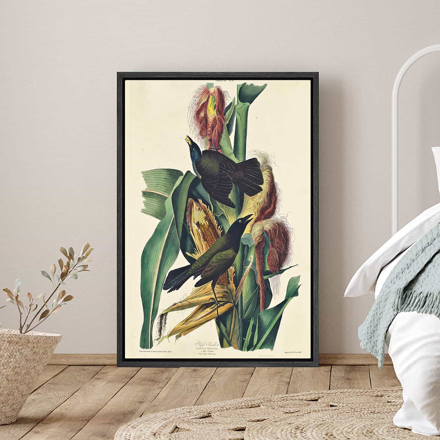 Purple Grackle Canvas Art