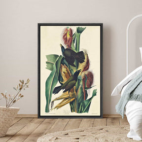 Purple Grackle Canvas Art