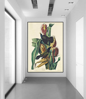 Purple Grackle Canvas Art