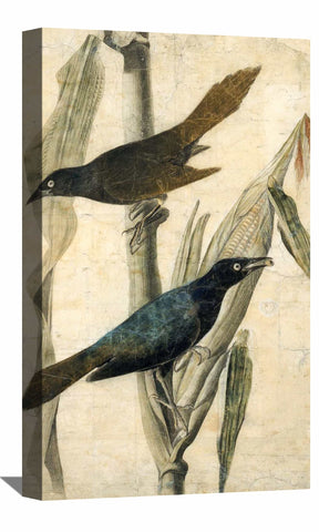 Purple Grackle2 Canvas Art