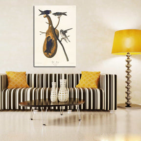 Purple Martin Canvas Art