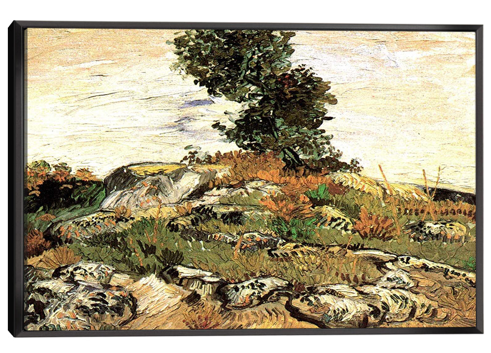 Rocks With Oak Tree Canvas Art