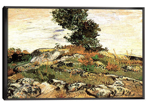 Rocks With Oak Tree Canvas Art