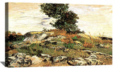 Rocks With Oak Tree Canvas Art