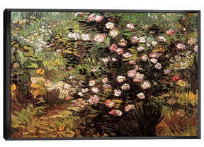 Rosebush in Blossom Canvas Art