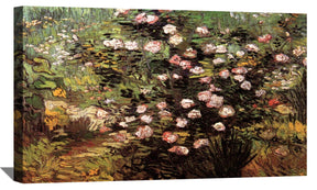 Rosebush in Blossom Canvas Art
