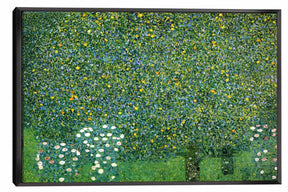 Rosebushes Under The Trees Canvas Art