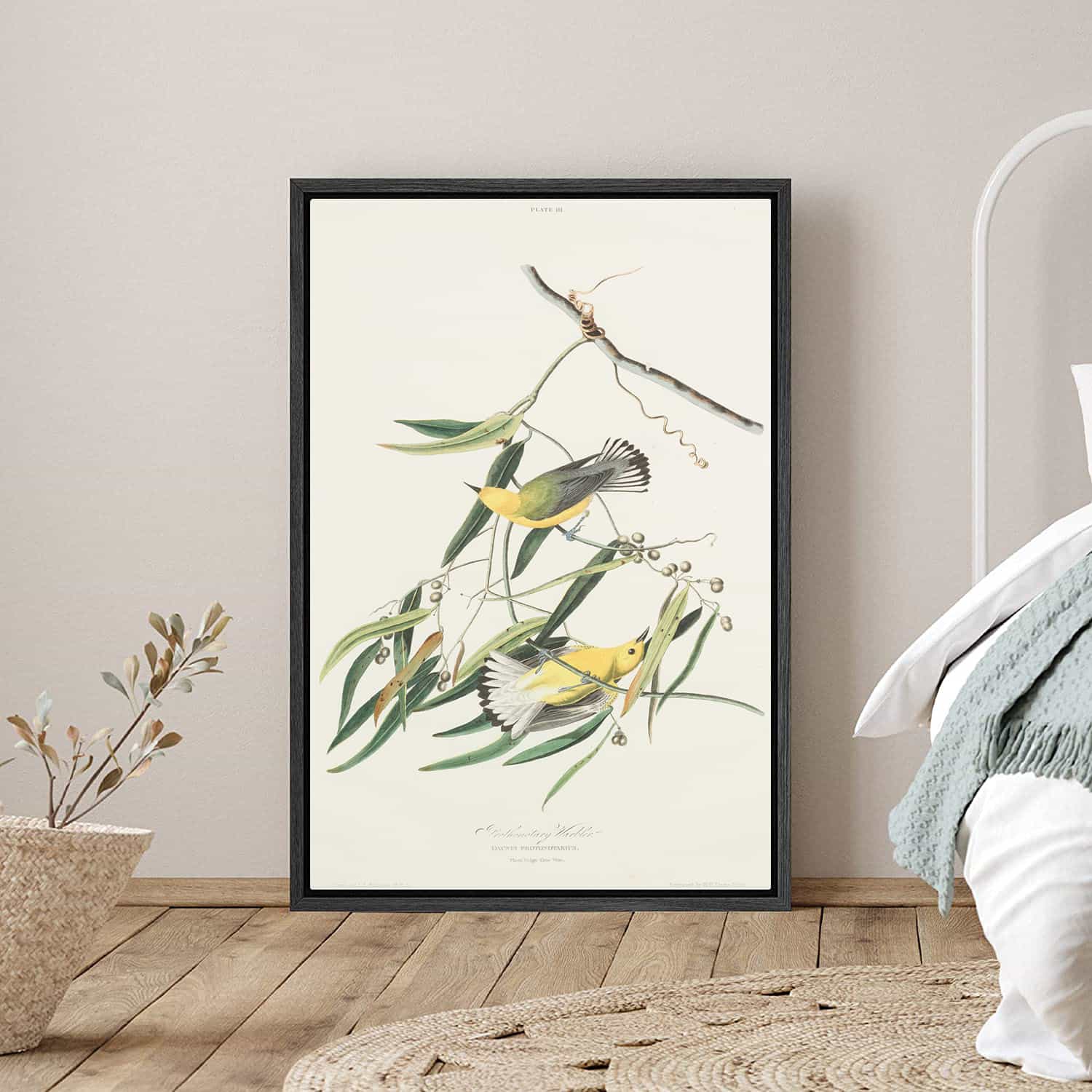 Snow Bird Canvas Art