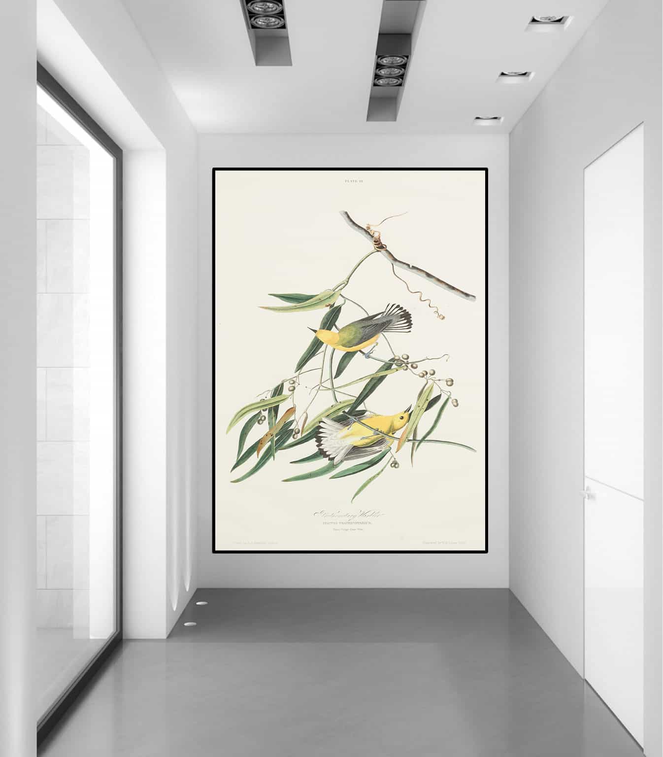 Snow Bird Canvas Art