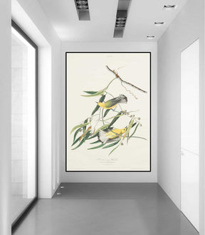 Snow Bird Canvas Art