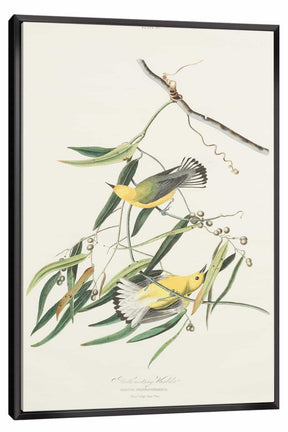 Snow Bird Canvas Art