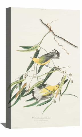 Snow Bird Canvas Art