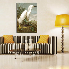 Snowy Heron Canvas Art