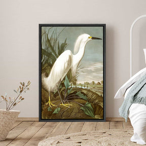 Snowy Heron Canvas Art