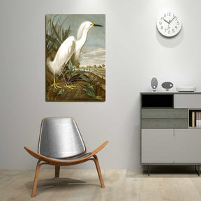 Snowy Heron Canvas Art