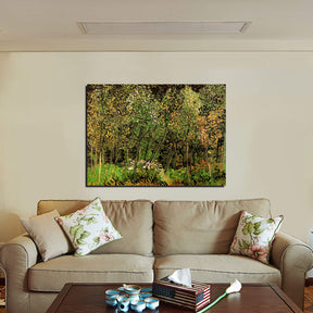 The Grove Canvas Art
