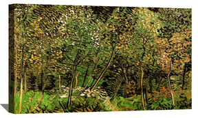 The Grove Canvas Art