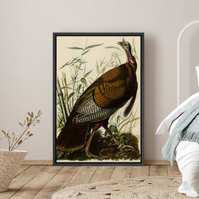 The Wild Turkey Canvas Art