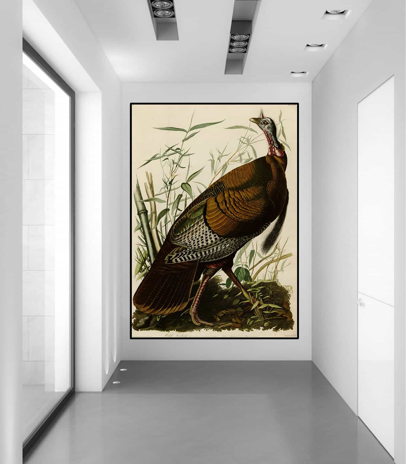 The Wild Turkey Canvas Art