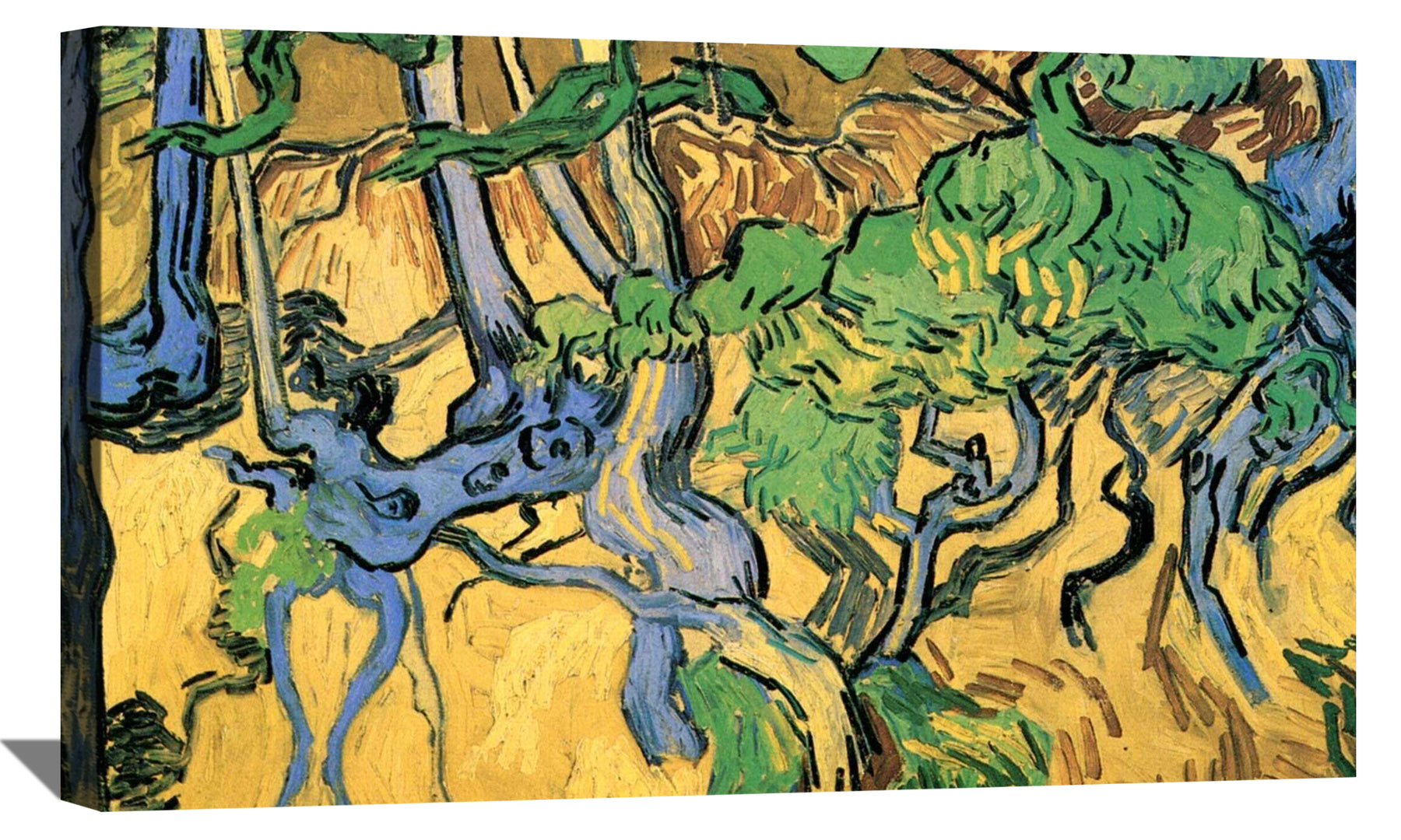 Tree Roots and Trunks Canvas Art