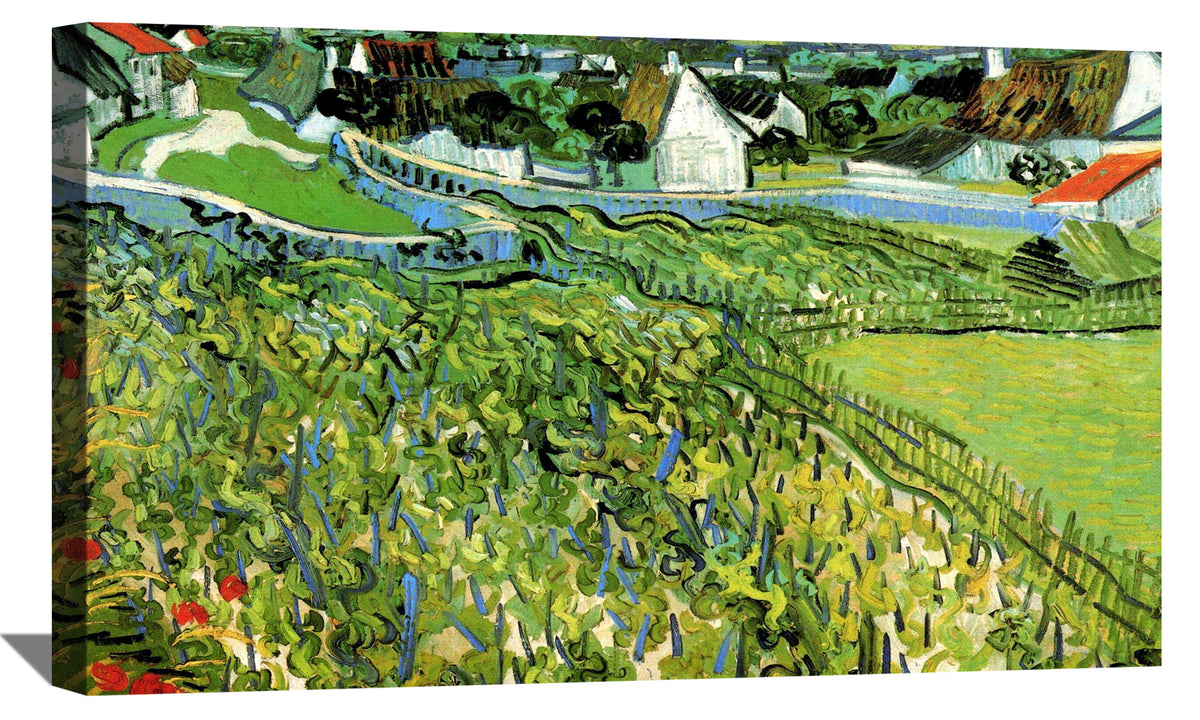 Vineyards with a View of Auvers Canvas Art