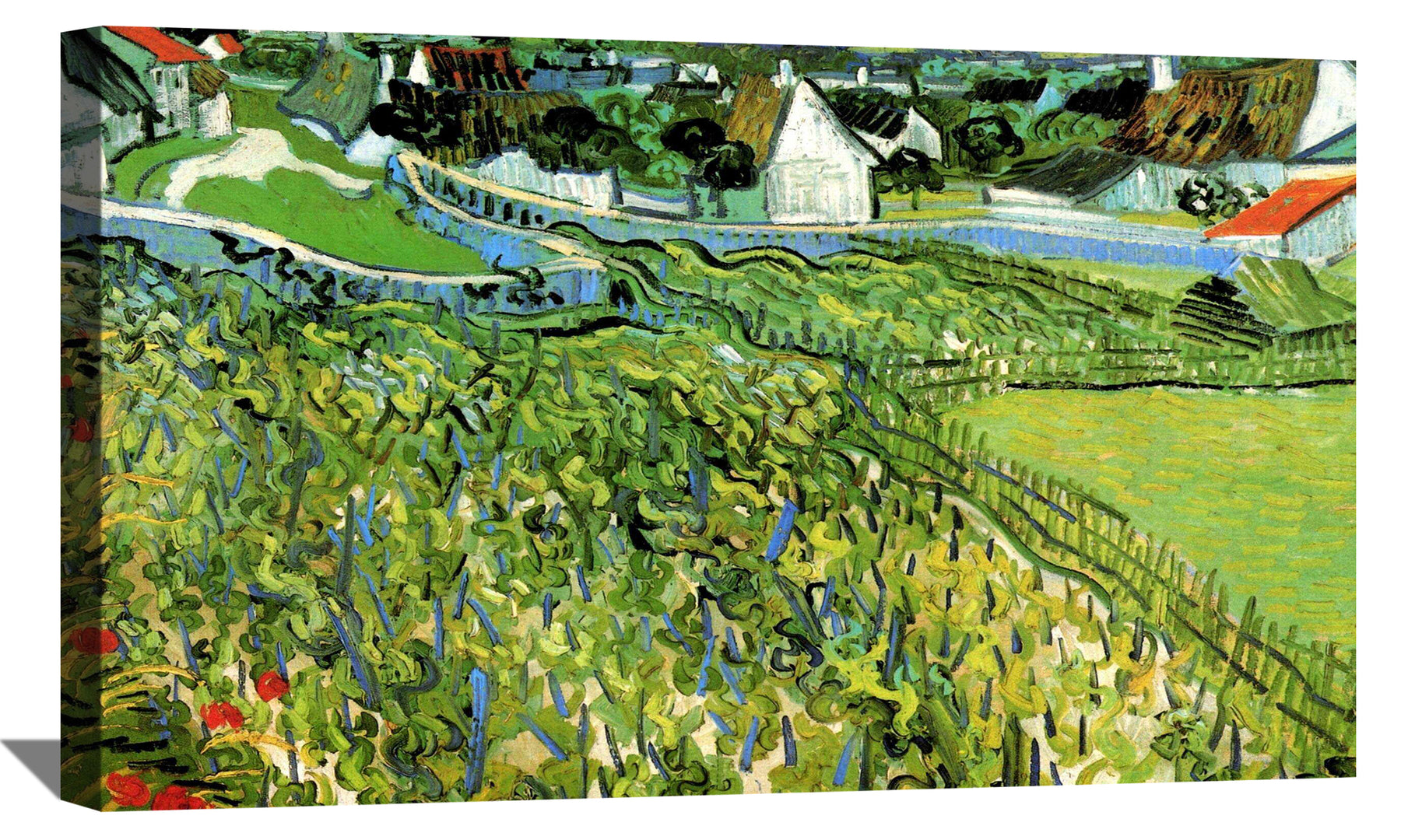 Vineyards with a View of Auvers Canvas Art