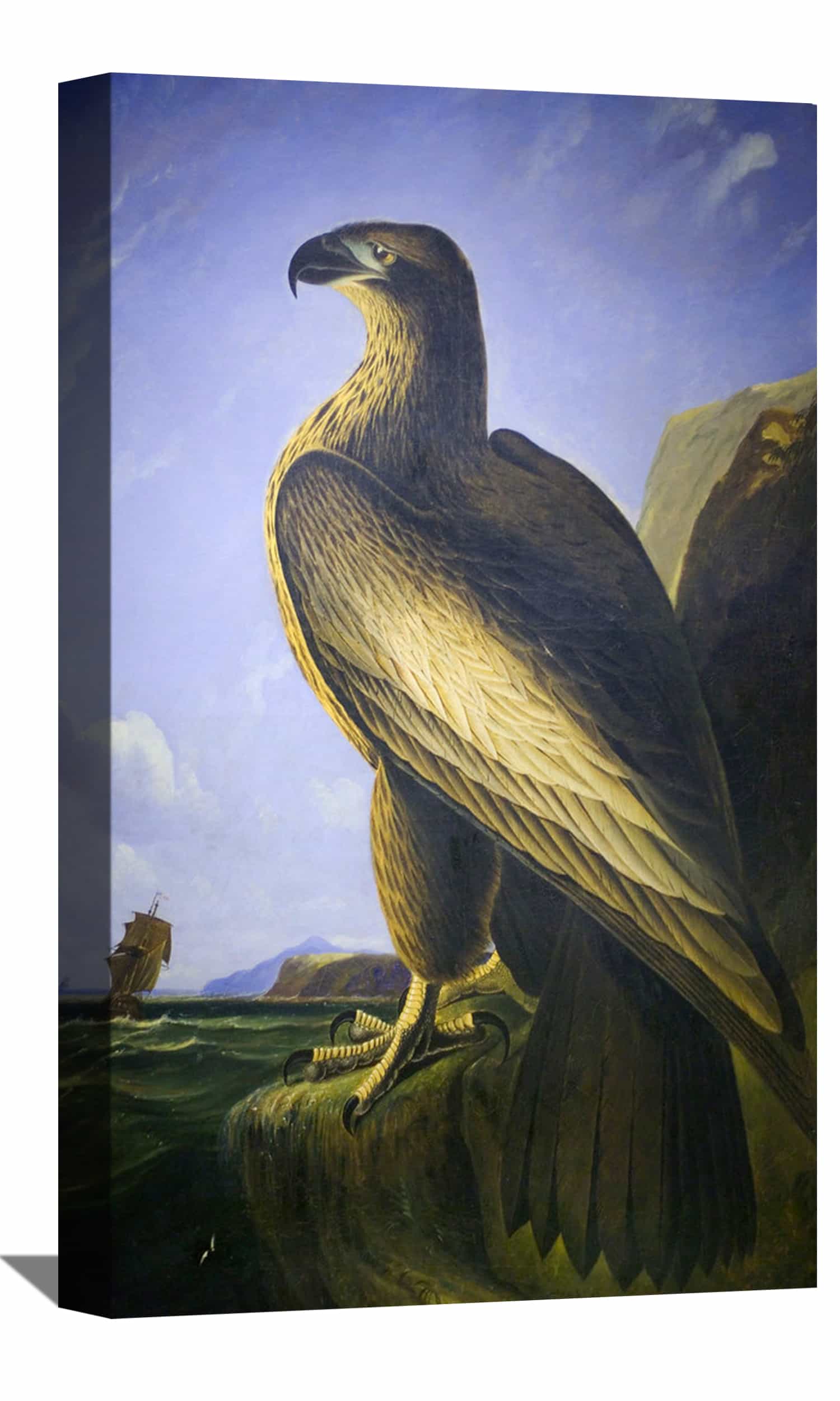 Washington Sea Eagle Canvas Art