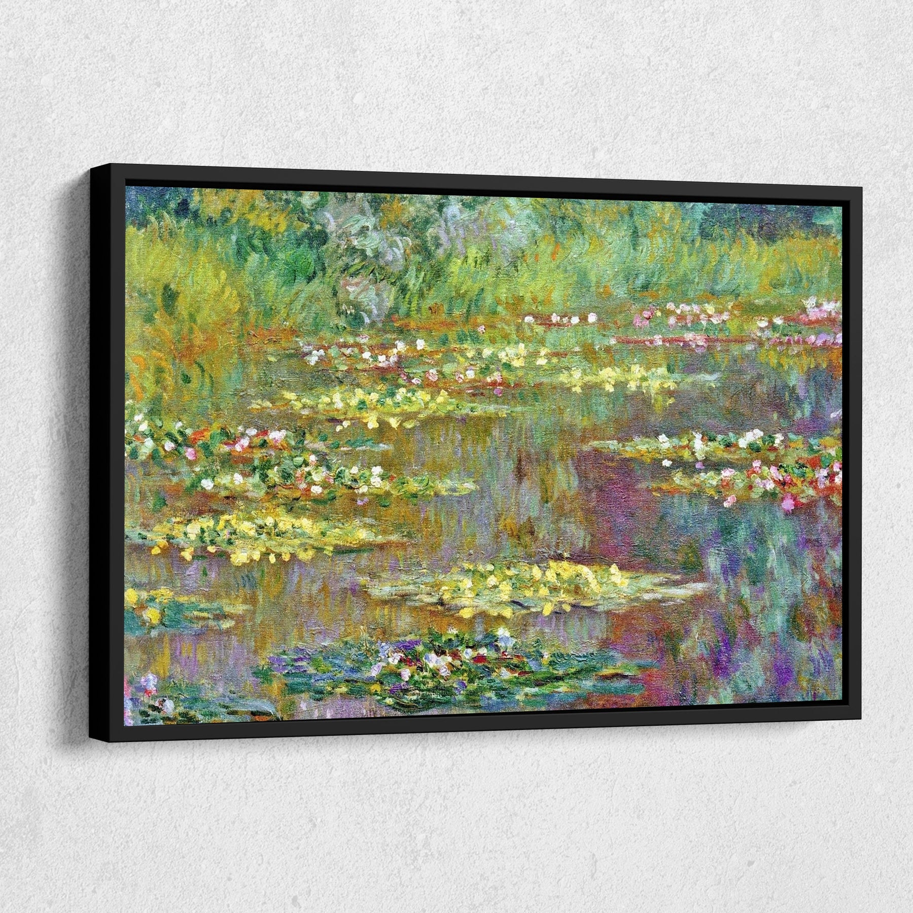Water Lilies Nympheas Canvas Art