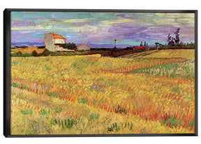 Wheat Field Canvas Art