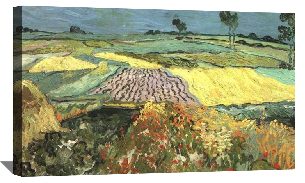 Wheat Fields near Auvers Canvas Art