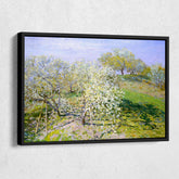 Apple Trees In Bloom Canvas Art
