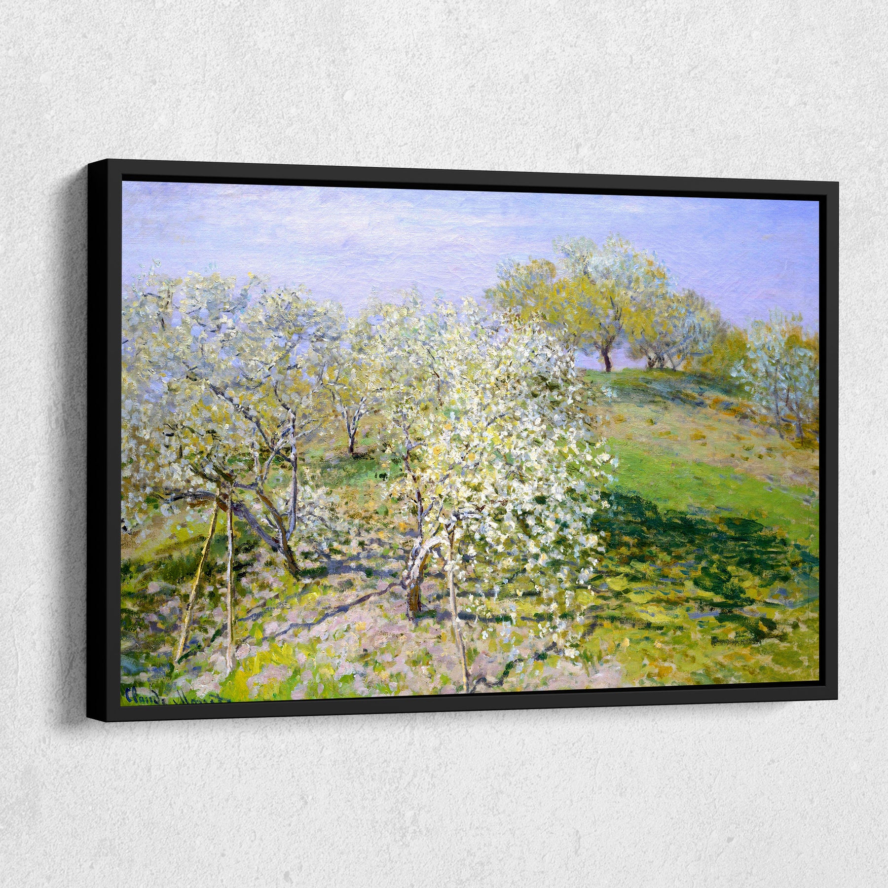 Apple Trees In Bloom Canvas Art