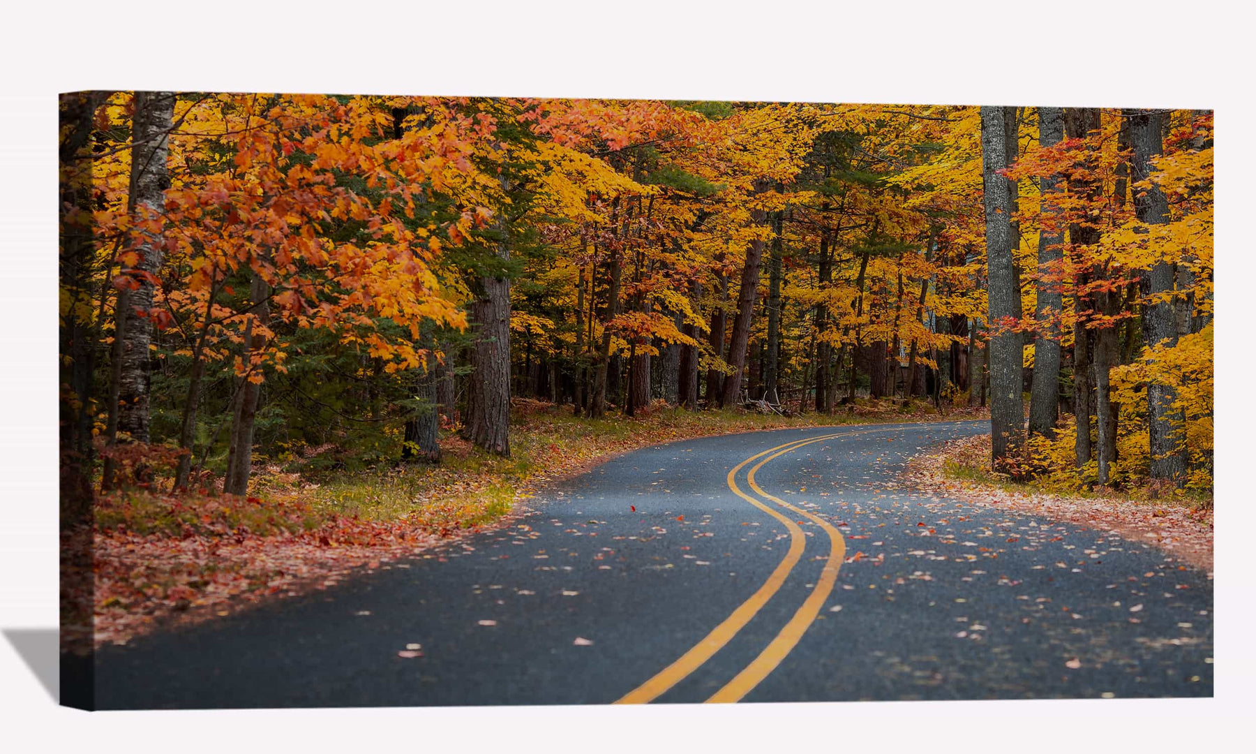 Autumn Drive Road Canvas Art