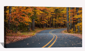 Autumn Drive Road Canvas Art