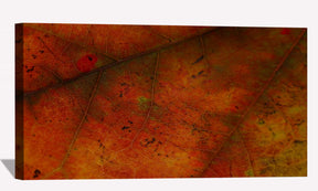 Autumnal Leave Canvas Art
