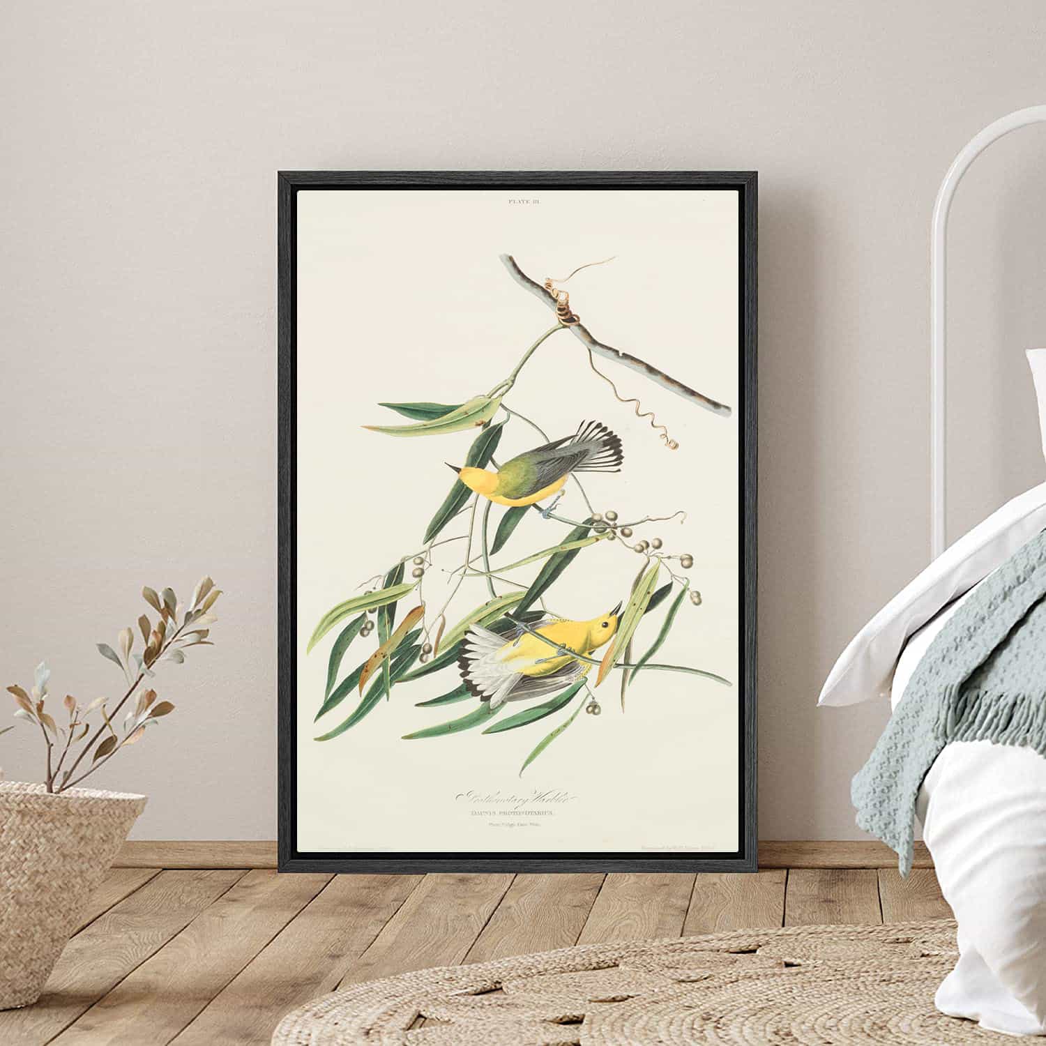 Cane Vine Canvas Art