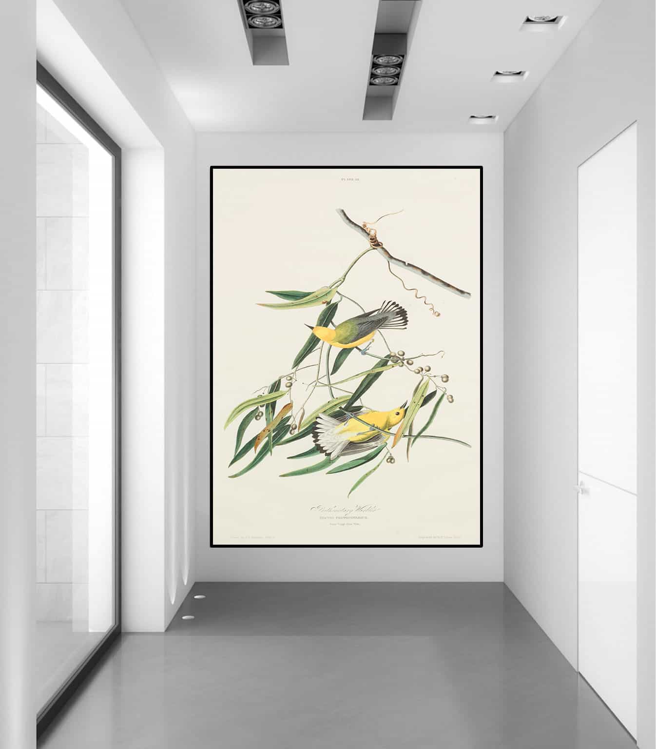 Cane Vine Canvas Art
