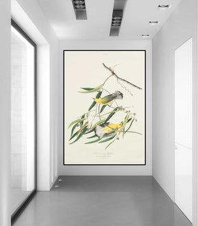 Cane Vine Canvas Art