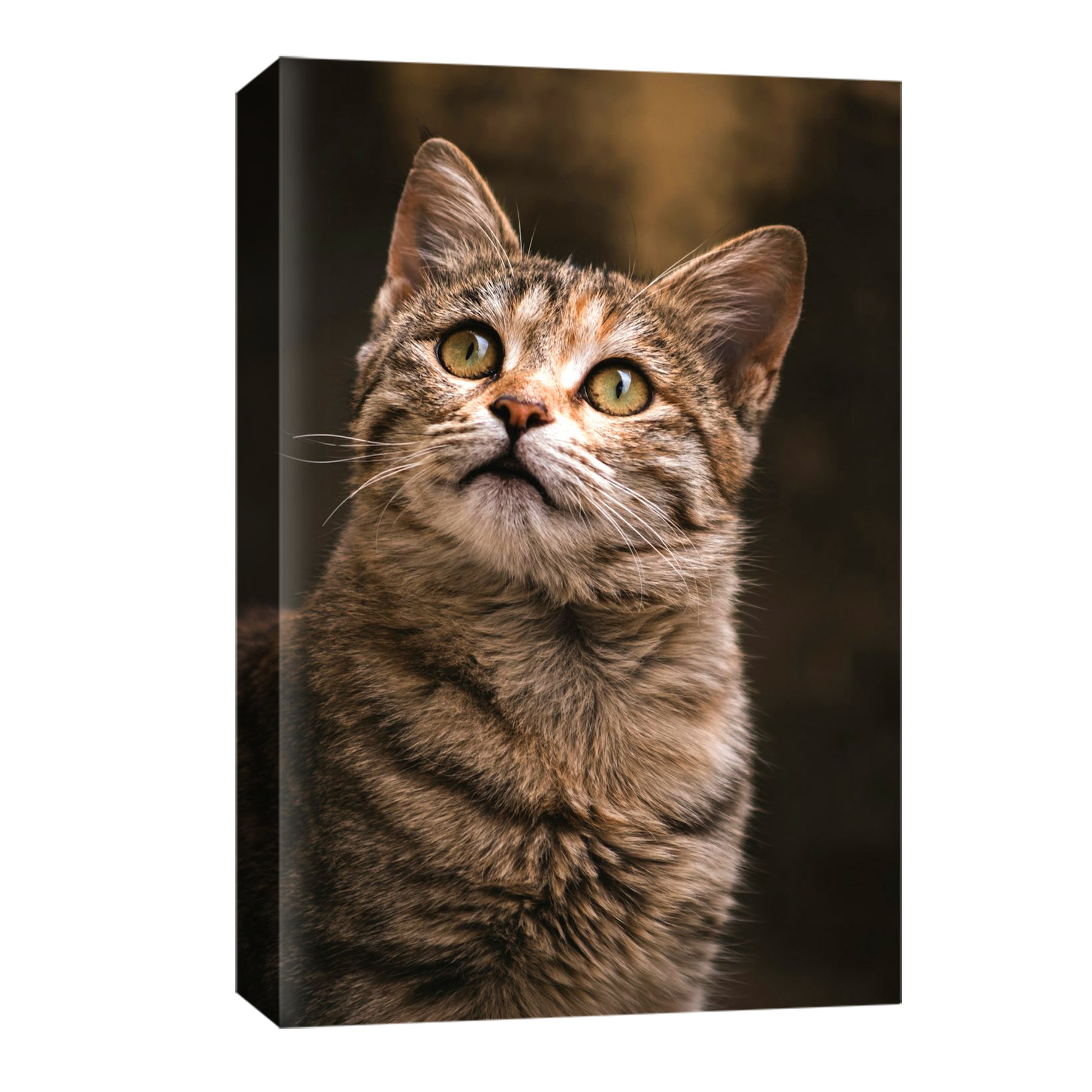 Pet Portrait Print Custom Photo To Canvas Print